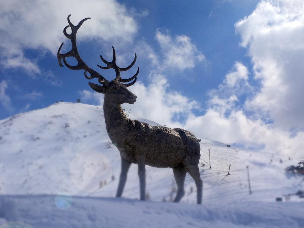 Hotel Shackleton Mountain Resort Сестриере Экстерьер фото